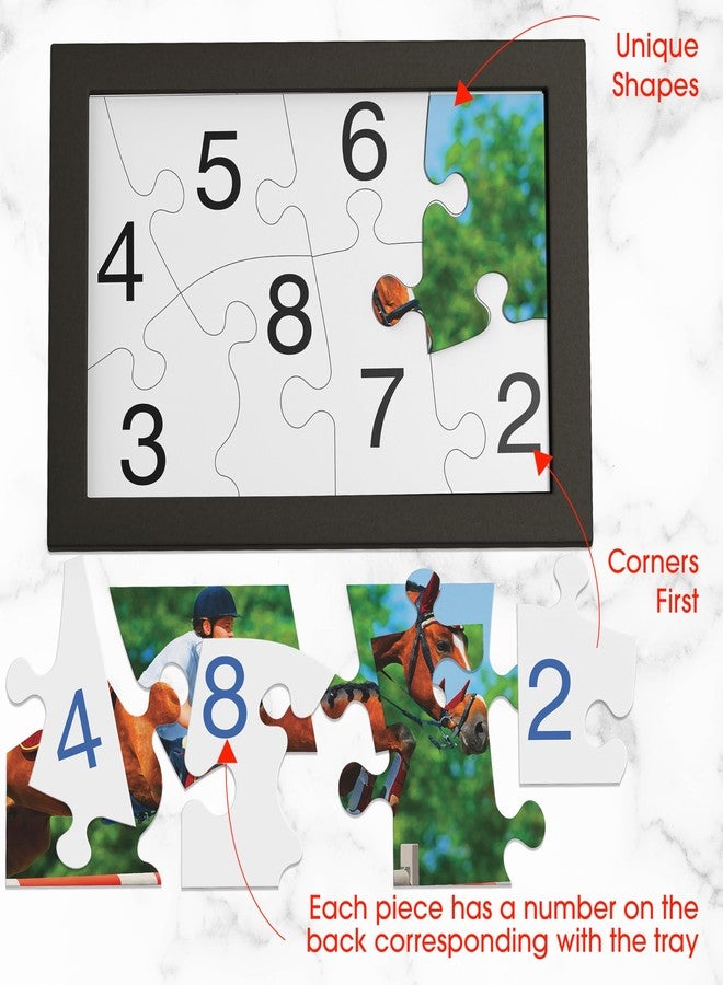 Keeping Busy Numbered 3 Pack Large Piece Puzzles for Seniors | Dementia Activities for Seniors Game Dementia Products for Elderly Alzheimers Activities (Numbered Puzzle) - Image 2